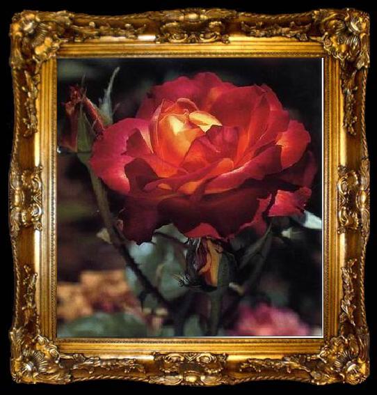 framed  unknow artist Still life floral, all kinds of reality flowers oil painting  208, ta009-2